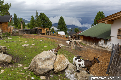 Children's park with marmots Murmelland-Zillertal