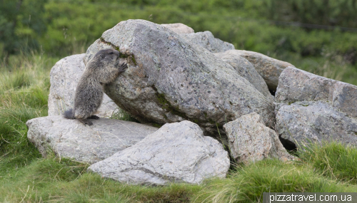 Children's park with marmots Murmelland-Zillertal