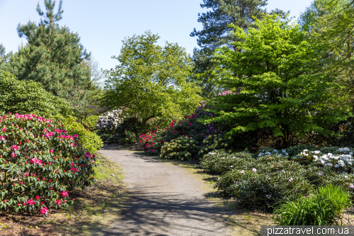 Gristede Rhododendron Park