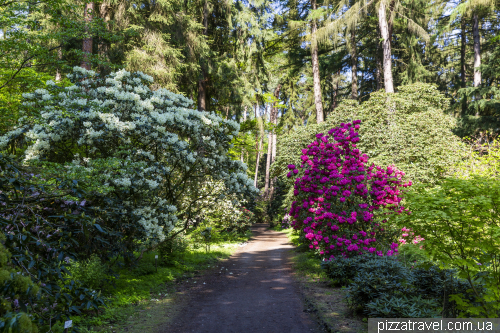 Gristede Rhododendron Park