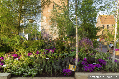 Rhododendron Festival in Westerstede