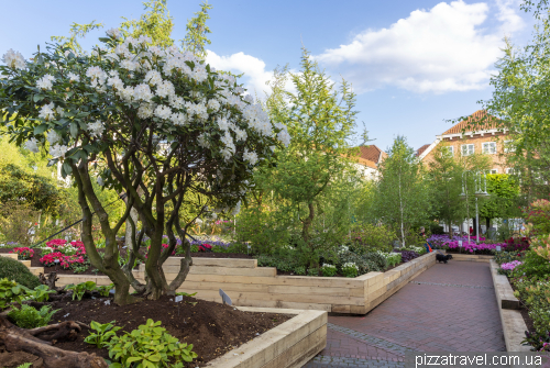 Rhododendron Festival in Westerstede