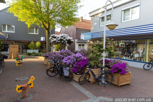 Rhododendron Festival in Westerstede