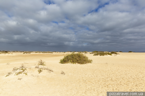 Пляж дель Позо (Playa del Pozo) у національному парку Корралехо (Parque Natural de Corralejo)