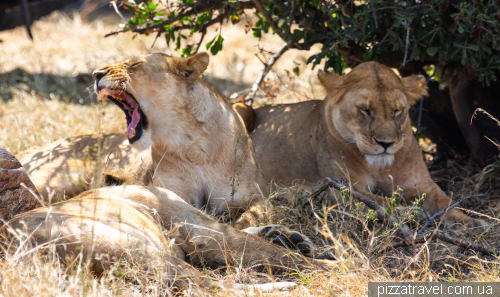 Serengeti National Park