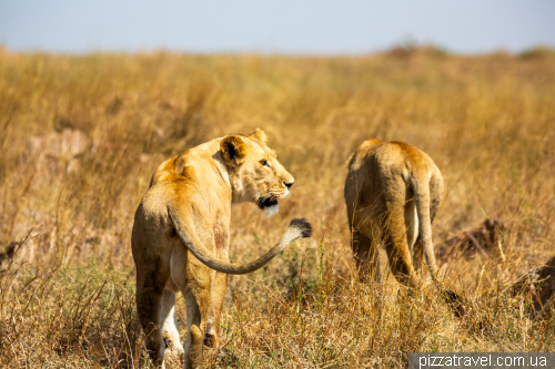 Serengeti National Park