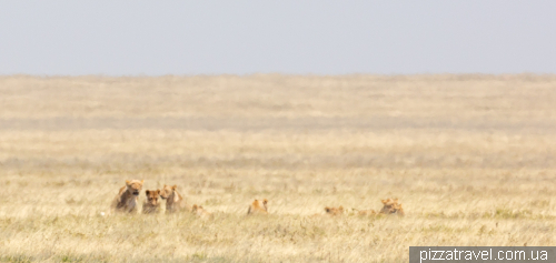 Serengeti National Park