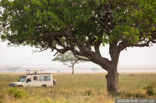 Serengeti National Park