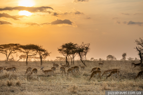 Serengeti National Park