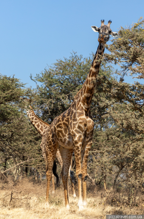 Serengeti National Park