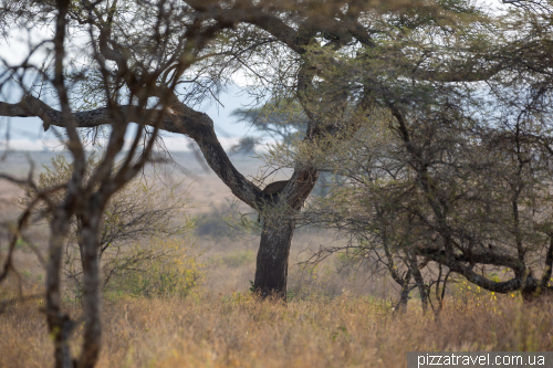 Serengeti National Park