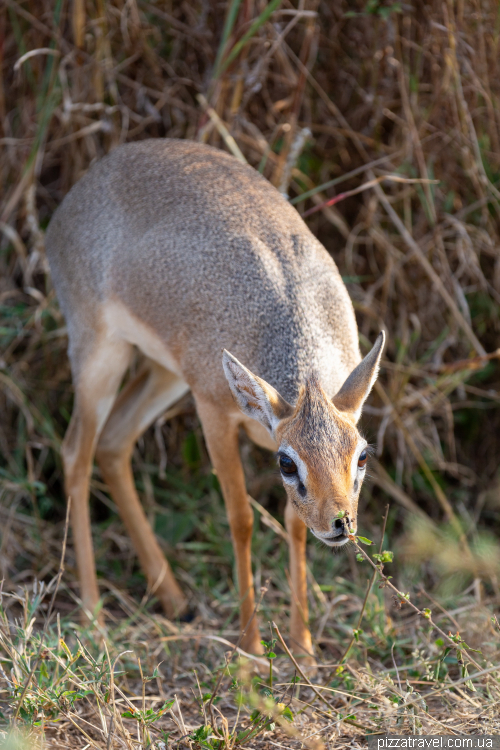 Serengeti National Park