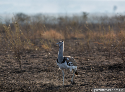 Serengeti National Park