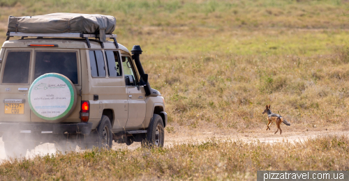 Serengeti National Park