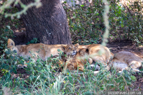 Serengeti National Park