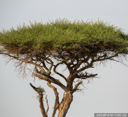 Serengeti National Park