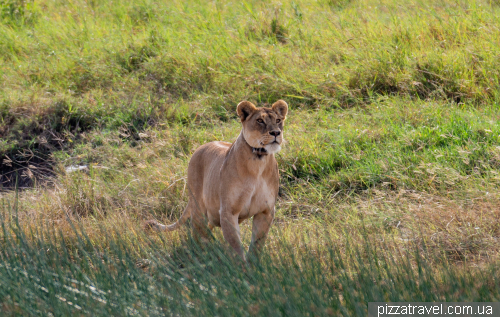 Serengeti National Park