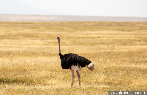 Serengeti National Park