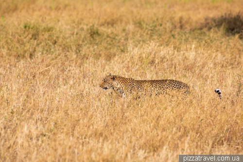 Serengeti National Park