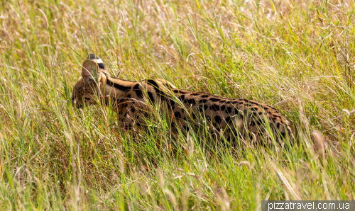 Serengeti National Park