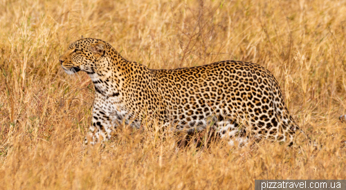 Serengeti National Park