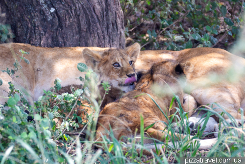 Serengeti National Park