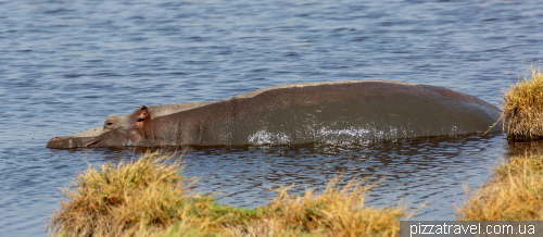 Serengeti National Park