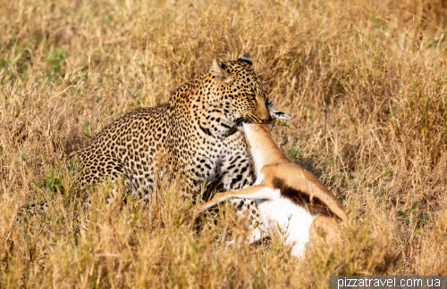 Serengeti National Park