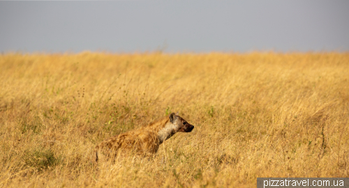 Serengeti National Park