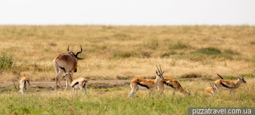 Serengeti National Park