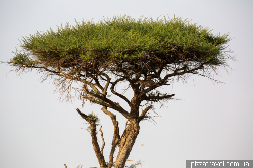 Serengeti National Park