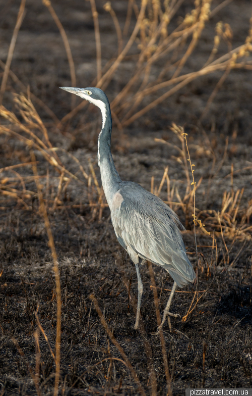 Serengeti National Park