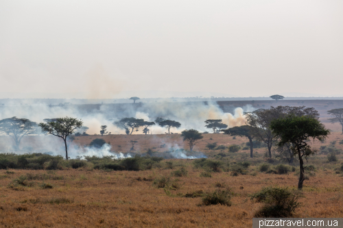 Serengeti National Park