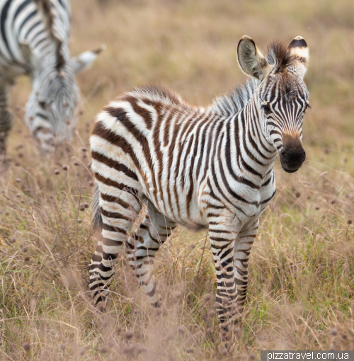 Ngorongoro National Park