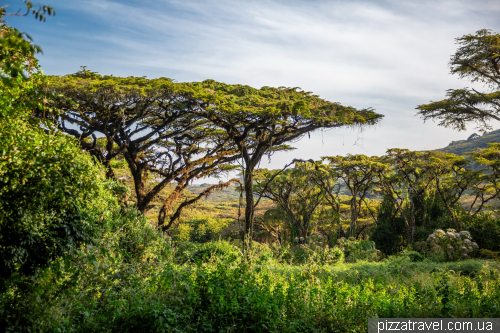 Ngorongoro National Park