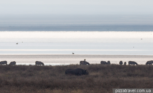 Ngorongoro National Park