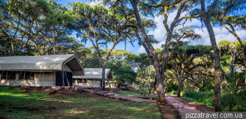 Ngorogoro Tortilis Camp