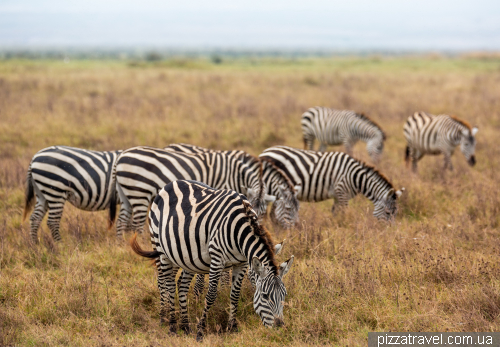 Ngorongoro National Park