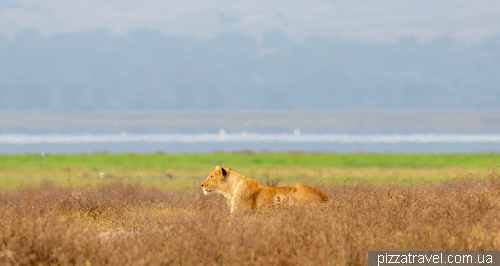 Ngorongoro National Park