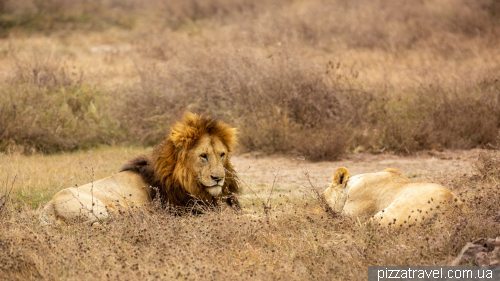 Ngorongoro National Park