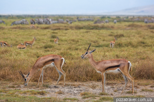 Ngorongoro National Park