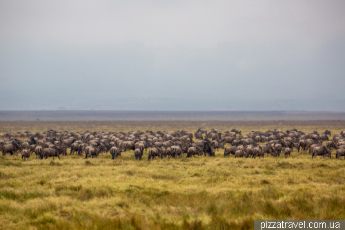 Ngorongoro National Park