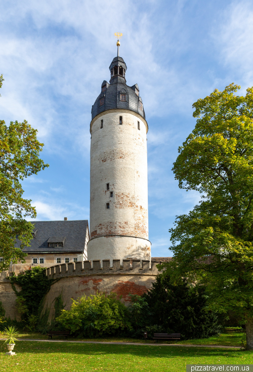 Altenburg Castle (Residenzschloss Altenburg)