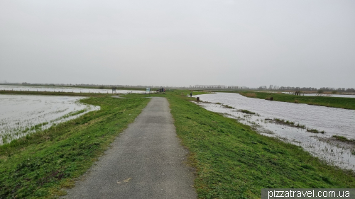 The path around Lake Dümmer