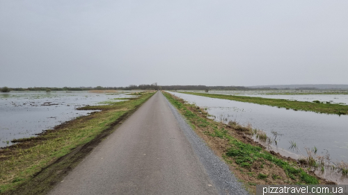 The path around Lake Dümmer