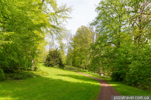 Rhododendrons in the Ohrberg Park, Emmerthal