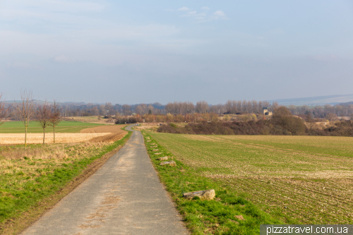 The ruins of the royal palace of Werla (Königspfalz Werla)