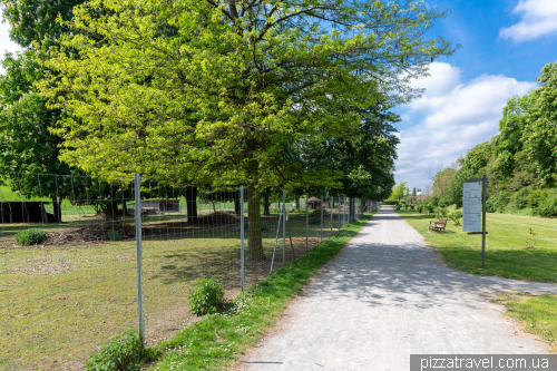 Elbauenpark in Magdeburg (Elbauenpark)