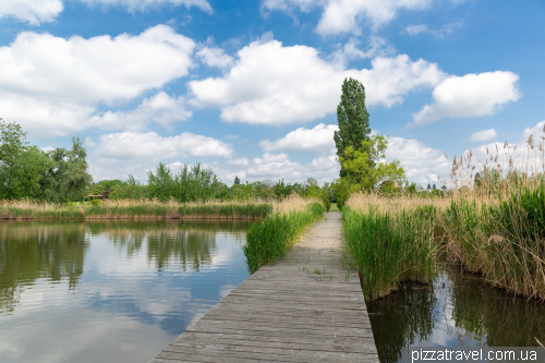 Elbauenpark in Magdeburg (Elbauenpark)