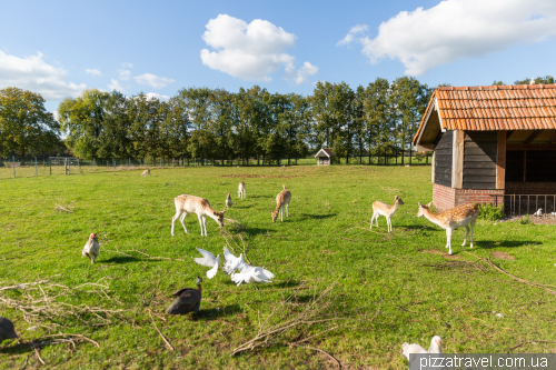 Cafe with children's playground Morskieft Cafe Restaurant Speeltuinen